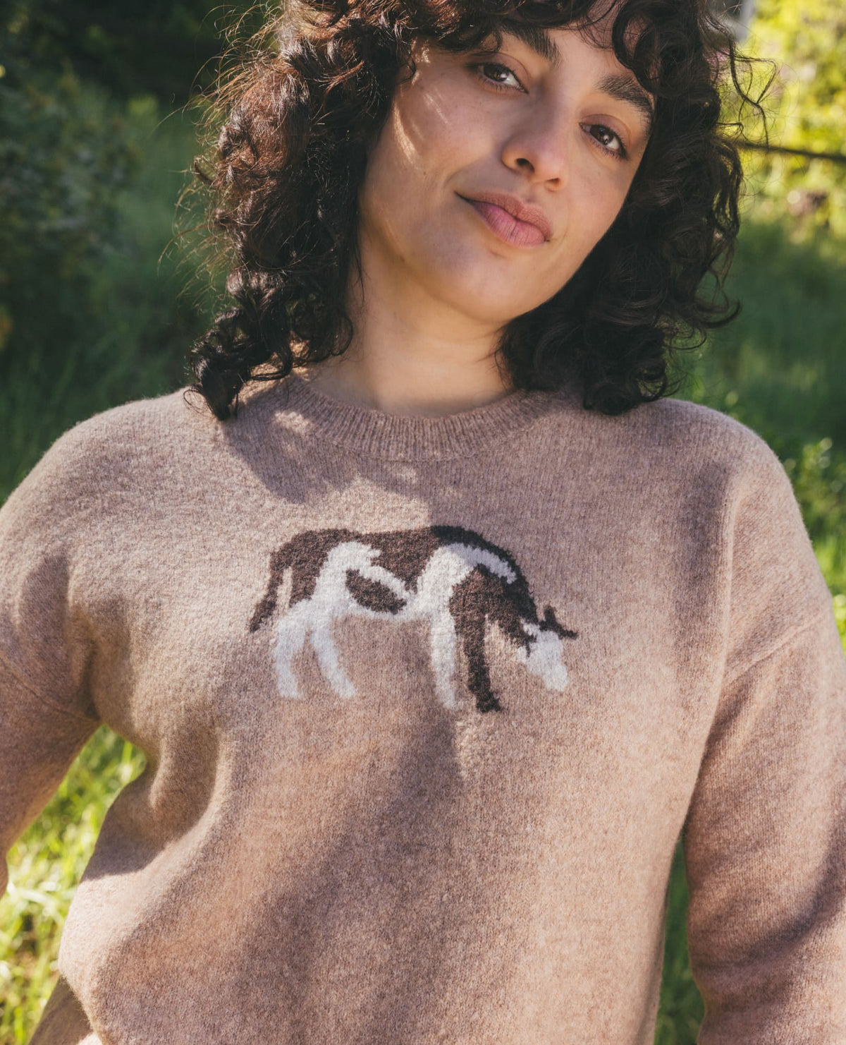 Women's Wasatch Crewneck Wool Sweater | Soft, Never Itchy