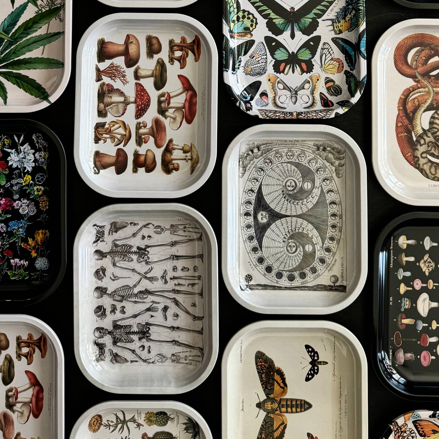 Mushroom Ritual Tray