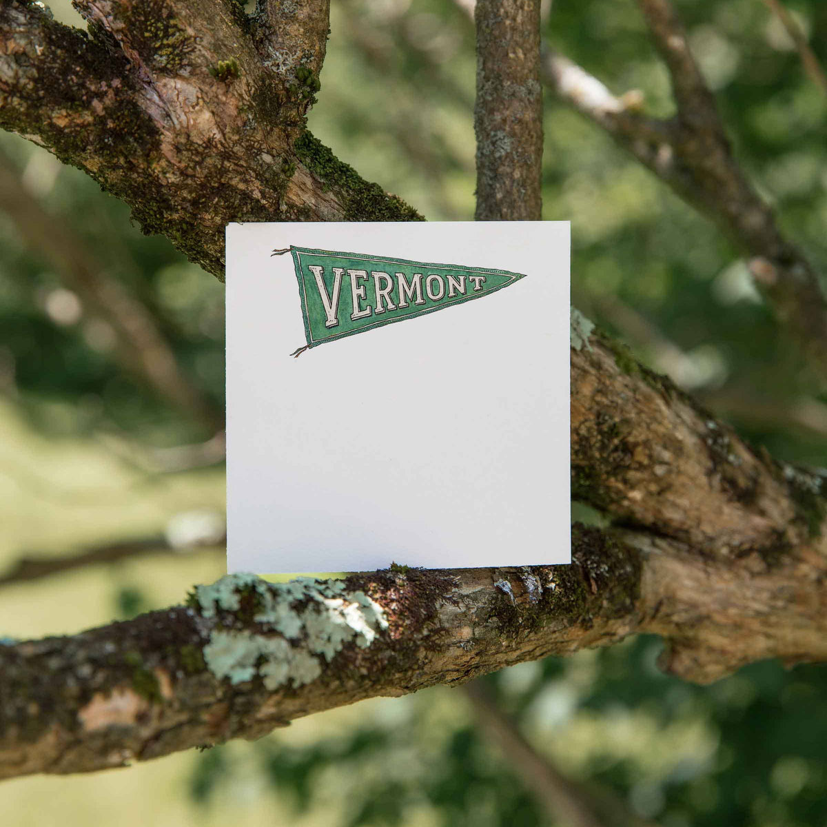 Vermont Pennant - Box of 50 Mini Notes