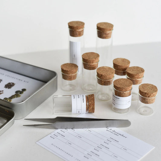 nature seed collecting kit