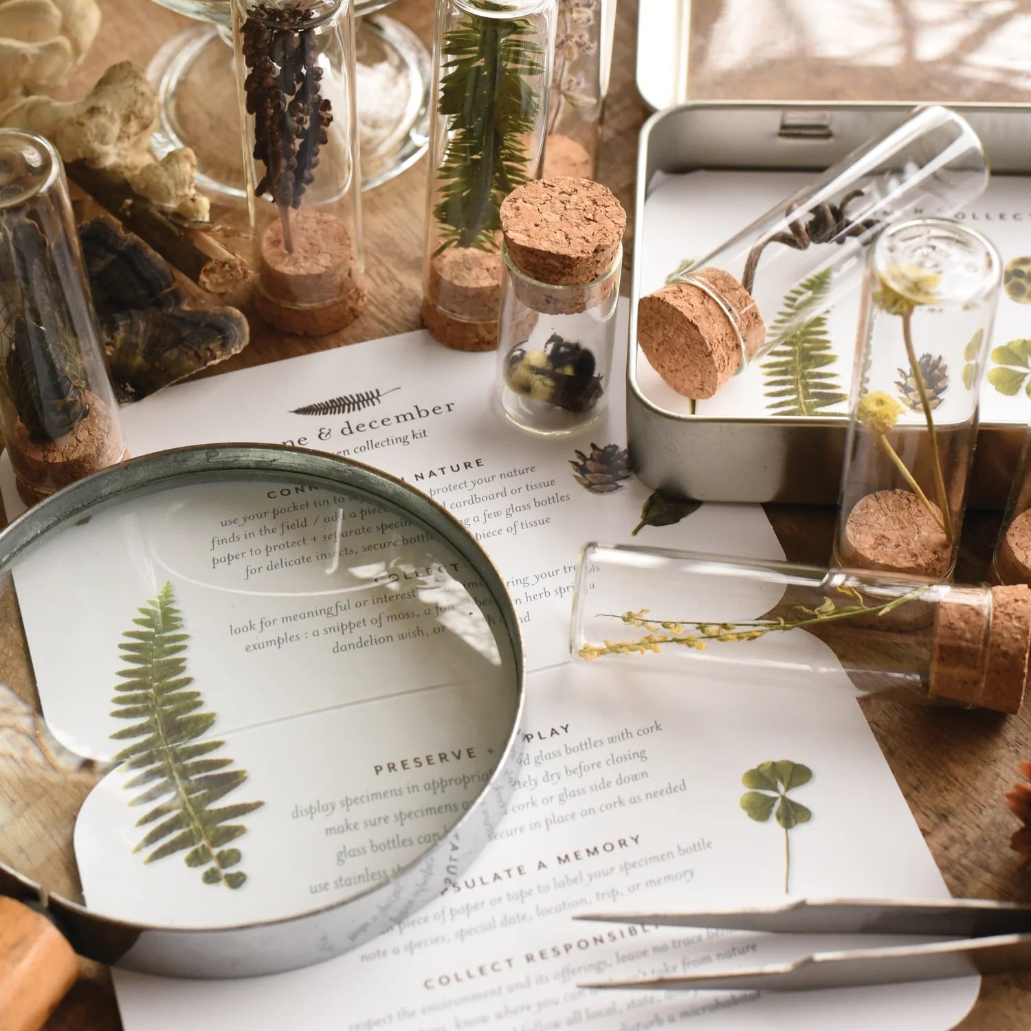 specimen collecting kit in tin with glass jars