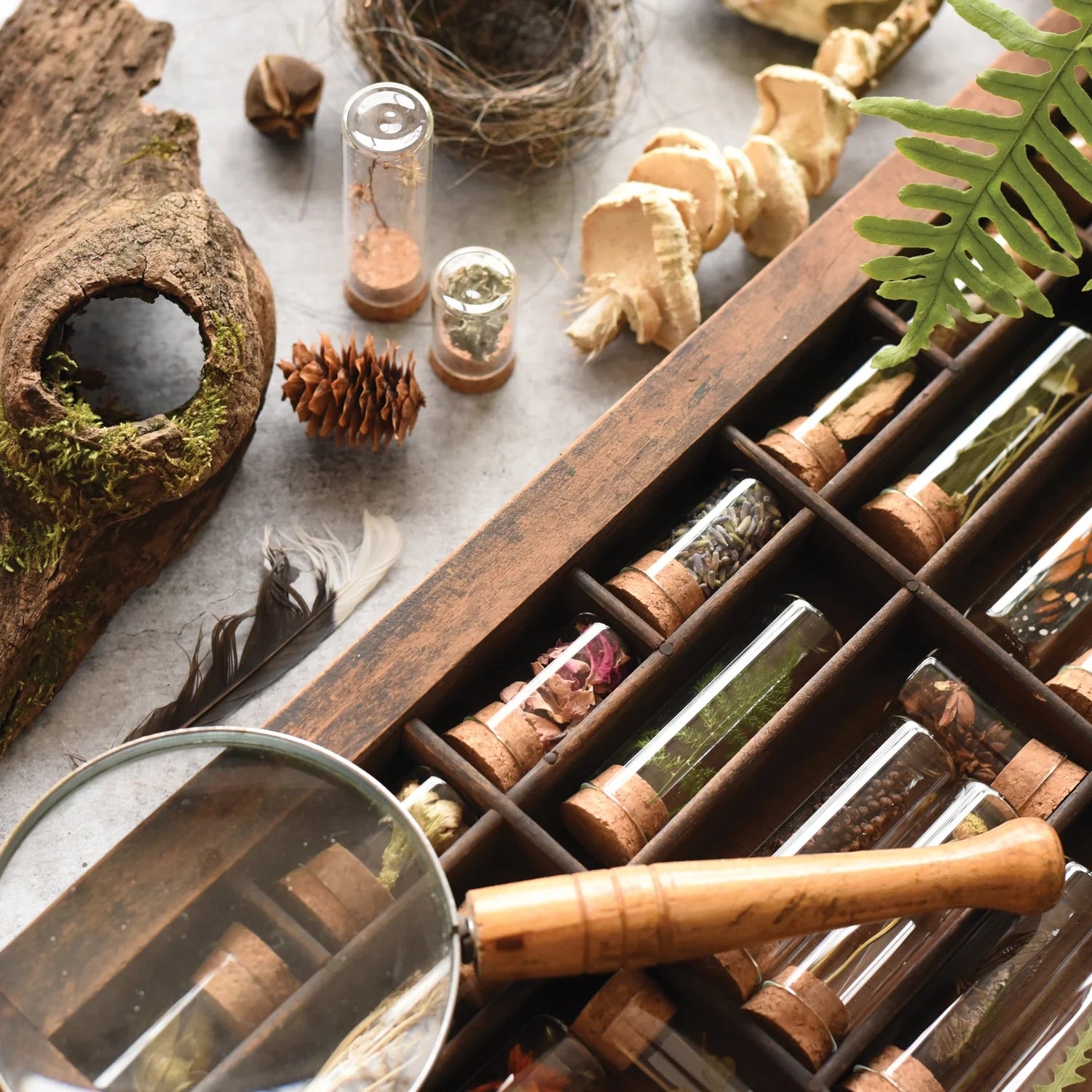specimen collecting kit in tin with glass jars