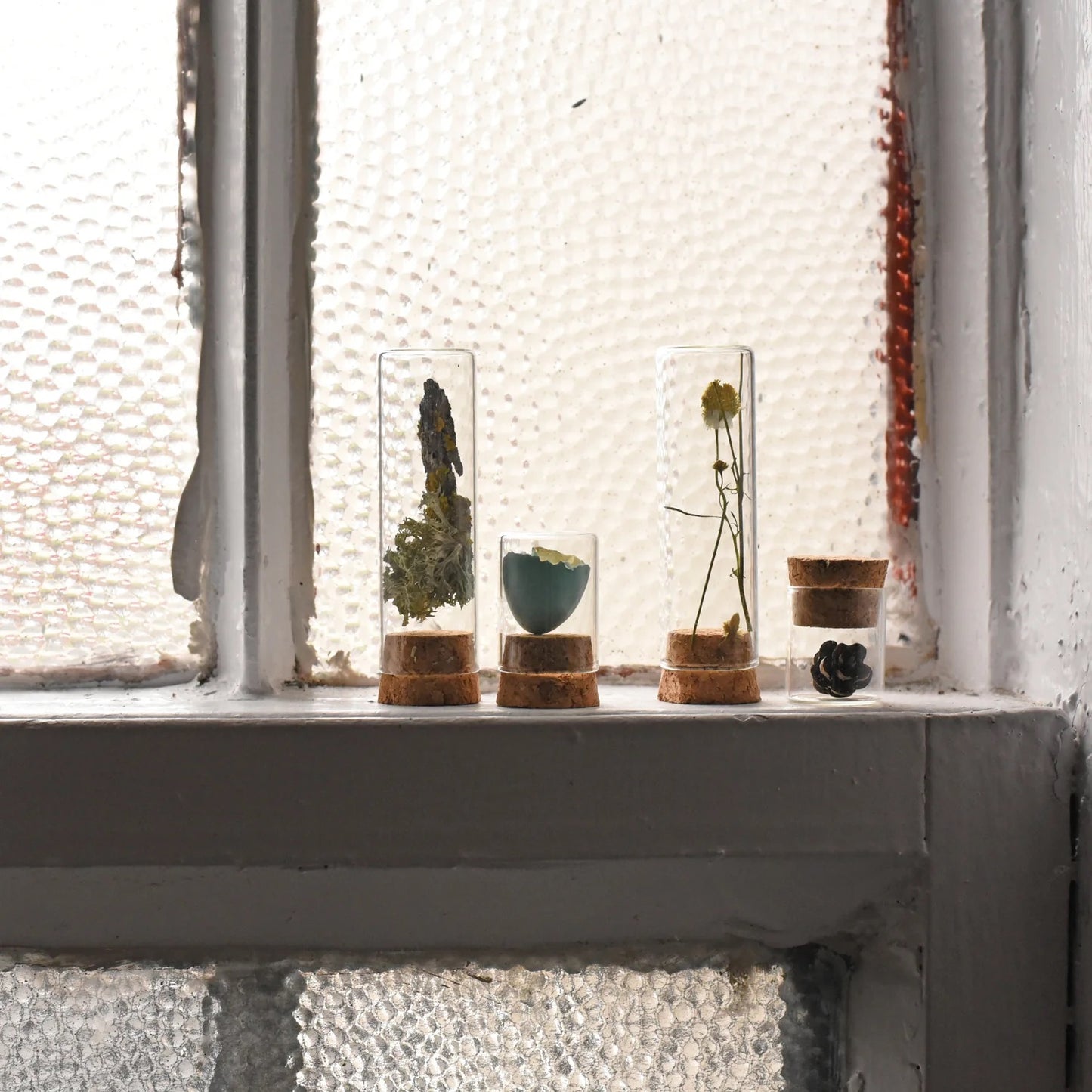 specimen collecting kit in tin with glass jars