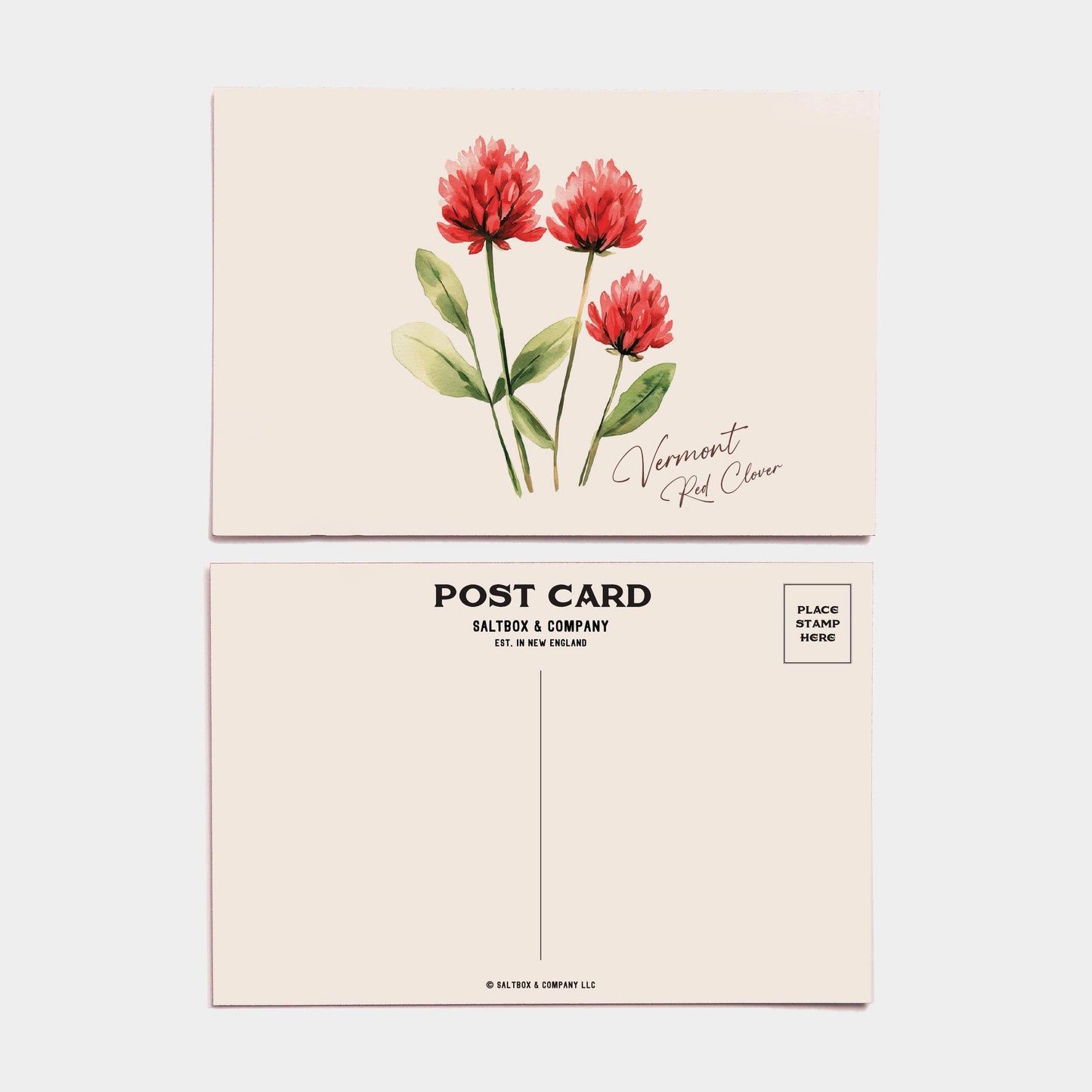 Vermont Red Clover - Box of 6 Postcards