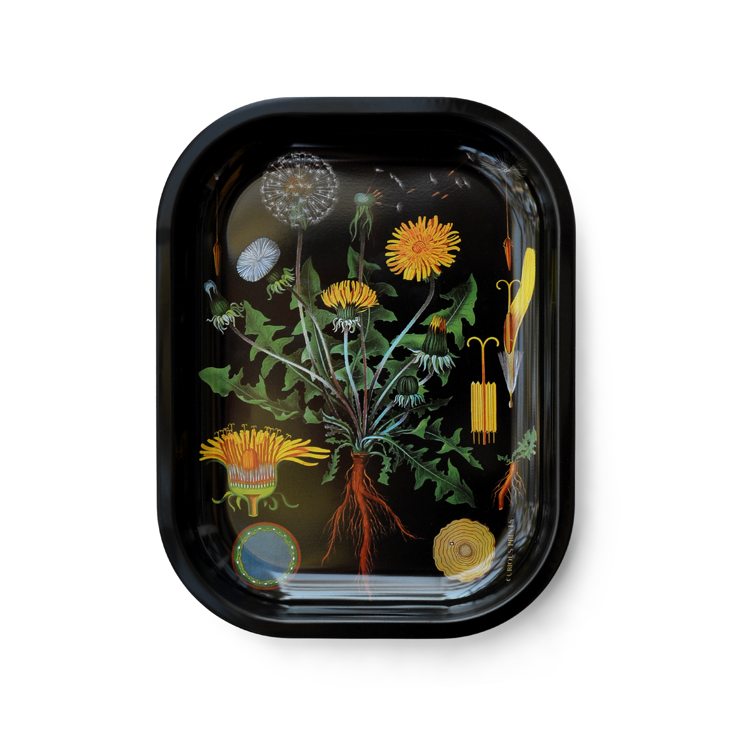 Metal Botanical Dandelion Trinket Tray