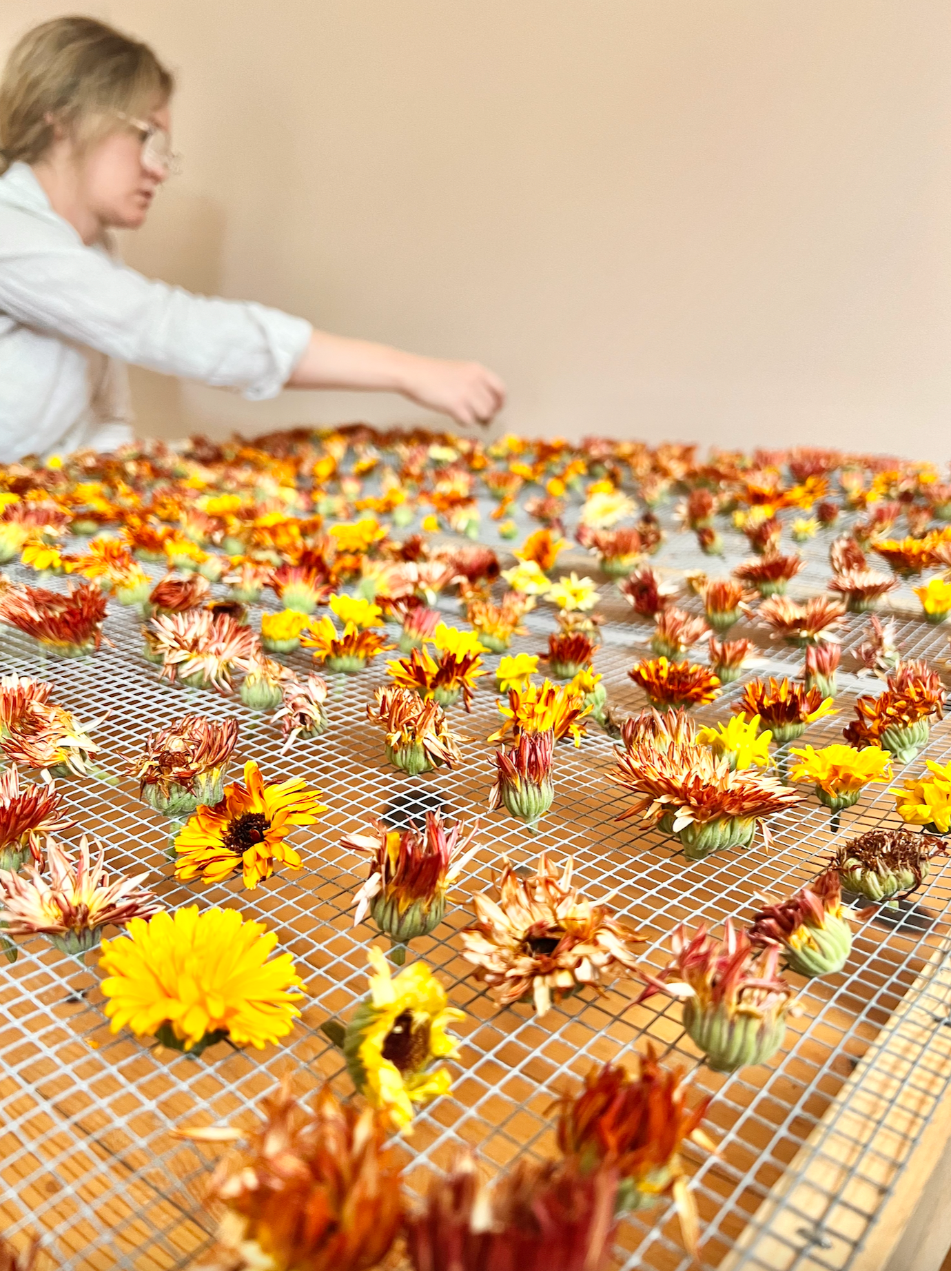 Edible Flower Blend