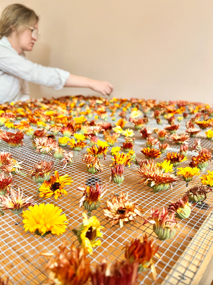 Edible Flower Blend