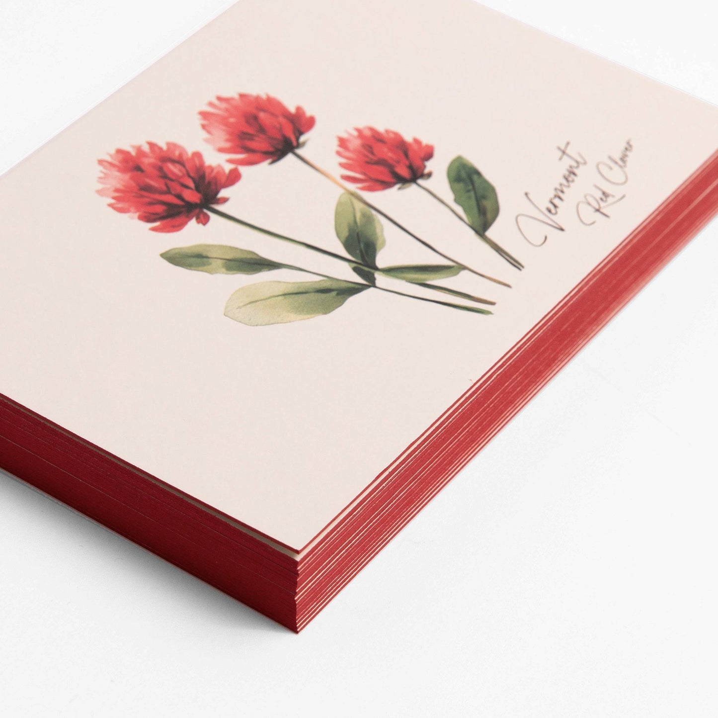 Vermont Red Clover - Box of 6 Postcards