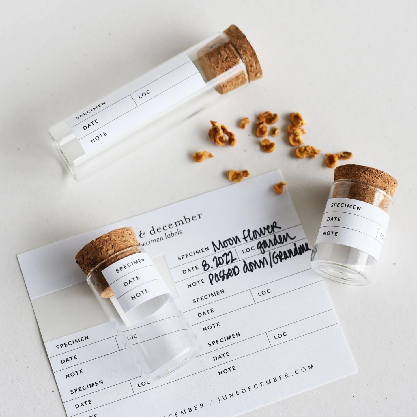 nature seed collecting kit