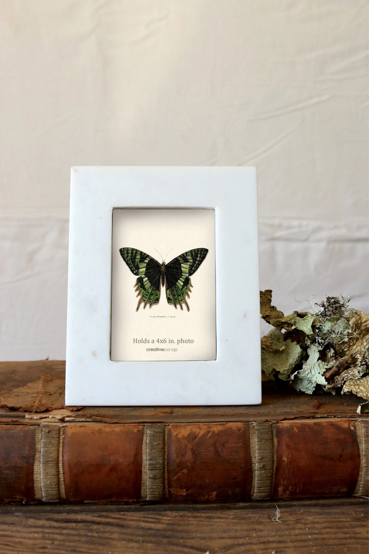 white marble picture frame on wood with butterfly in the image