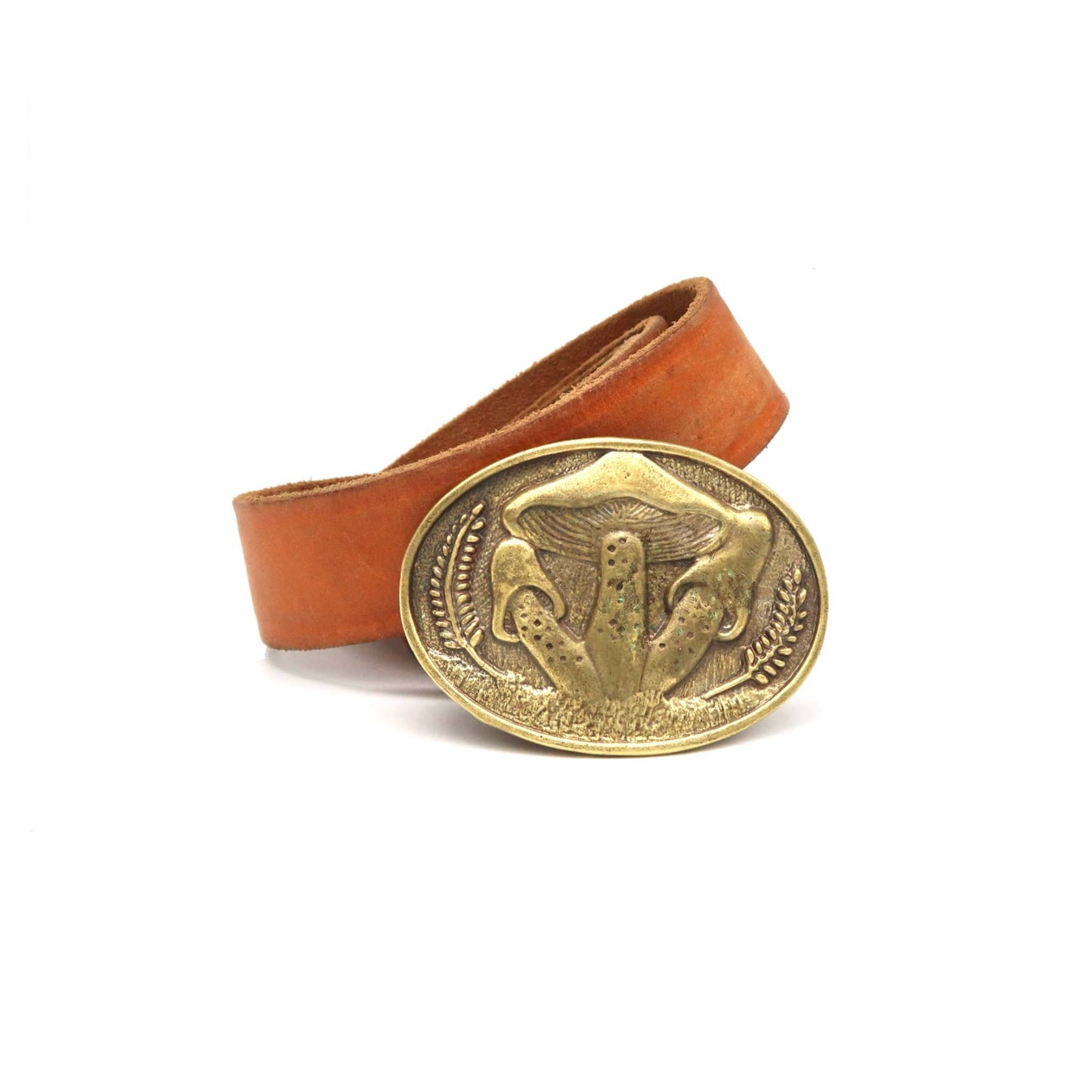 Shroom Belt