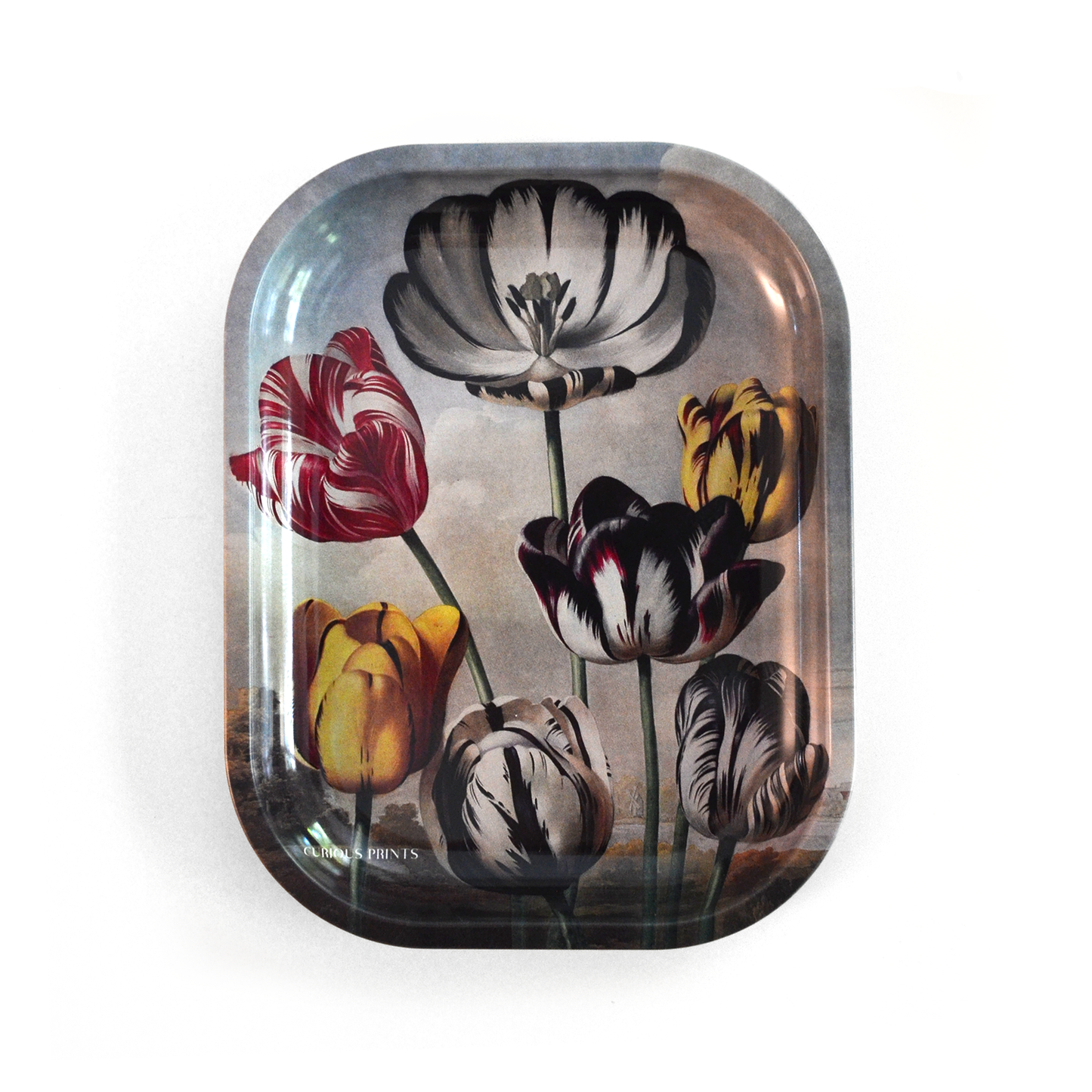 Vintage Botanical Tulip Trinket Tray