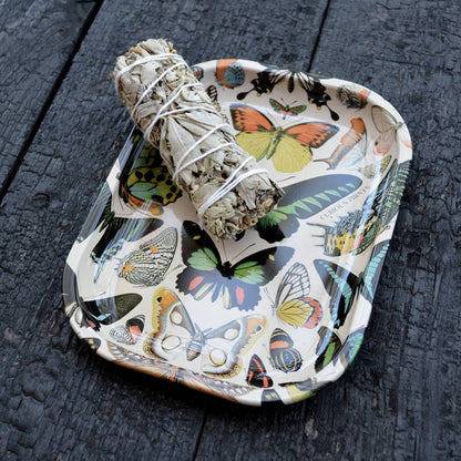Vintage Butterflies Dish