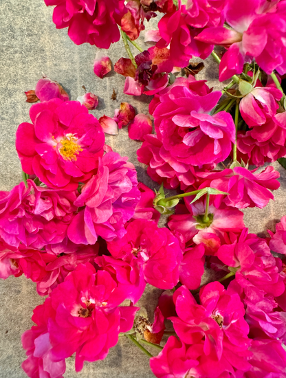 Edible Flower Blend