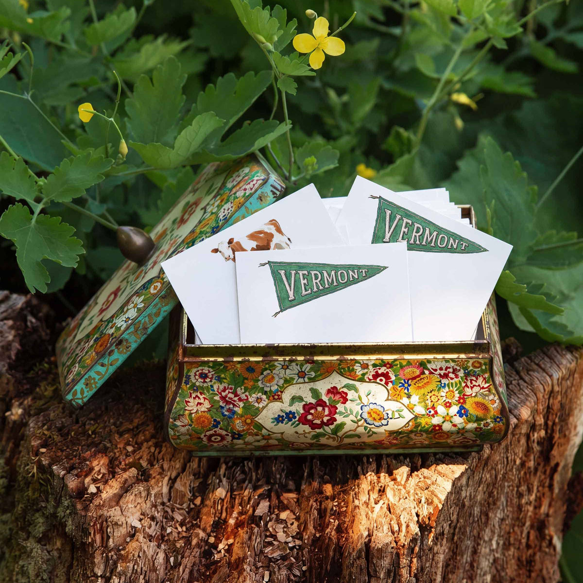 Vermont Pennant - Box of 50 Mini Notes