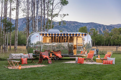 Stargazers Pocket Pillow