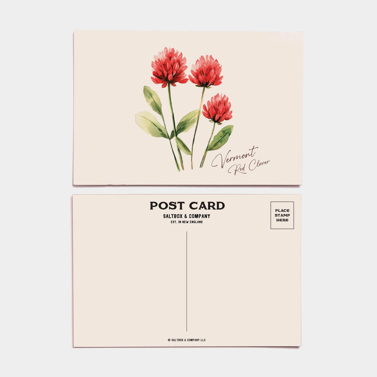 Vermont Red Clover - Box of 6 Postcards