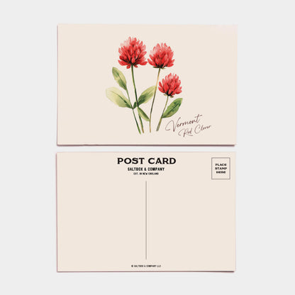 Vermont Red Clover - Box of 6 Postcards