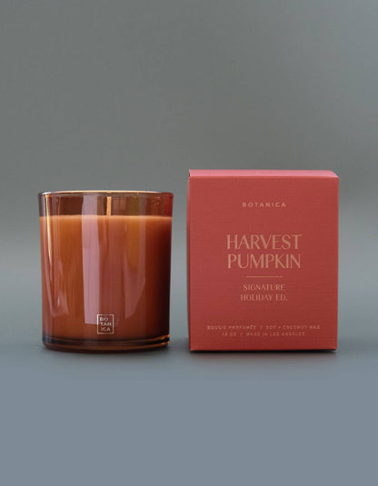 Harvest Pumpkin Candle, 12 oz.