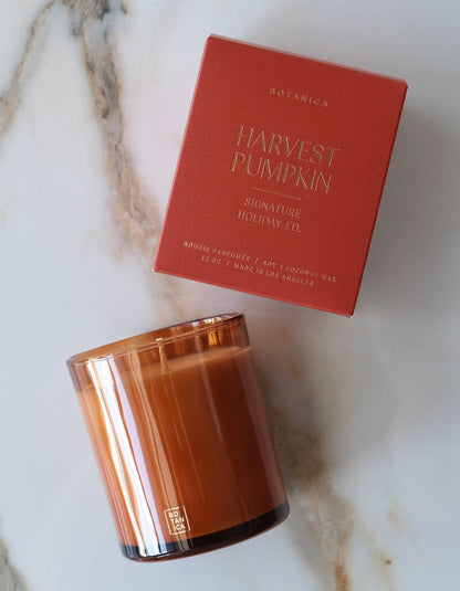 Harvest Pumpkin Candle, 12 oz.